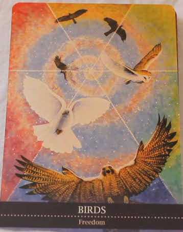 Shamanic Medicine Oracle Cards